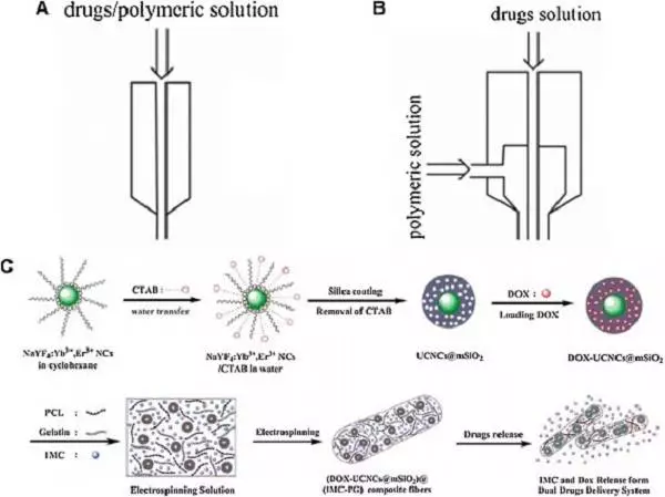 天津大学仰大勇团队综述:生物功能电纺纳米材料——从拓扑结构设计到生物应用的图5